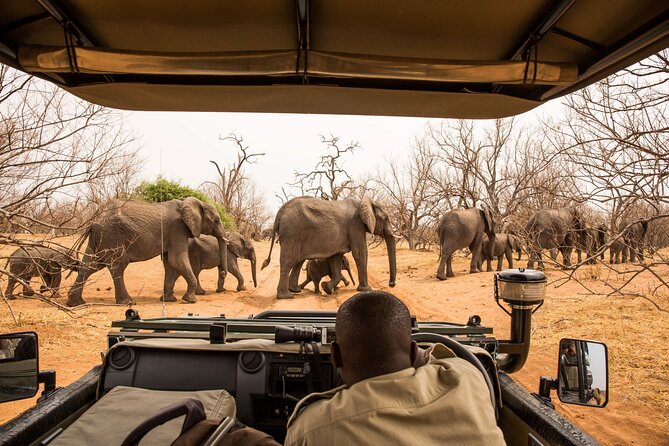 8 Day Chobe NP, Elephant Sands, Okavango Delta & Victoria Falls - Inclusions and Pickup Information
