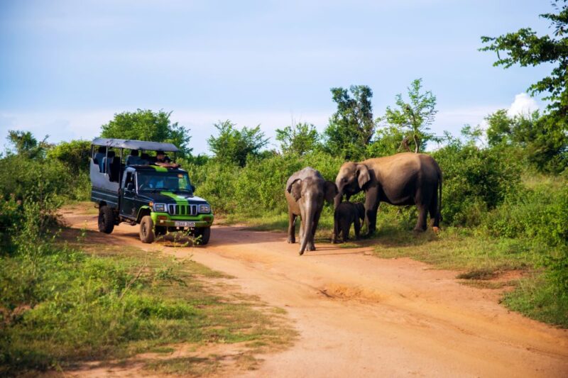 8 Day Tour Sri Lanka With Wildlife & Outdoor Experiences - Rainforest Exploration