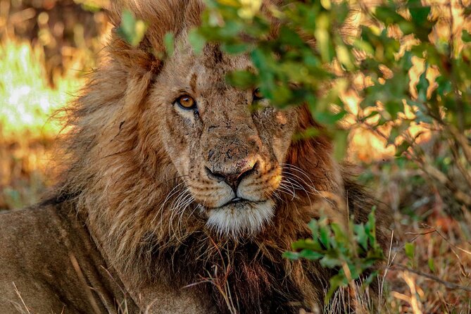8 Days 7 Nights Kenyan Luxury Safari - Meeting and Pickup Details