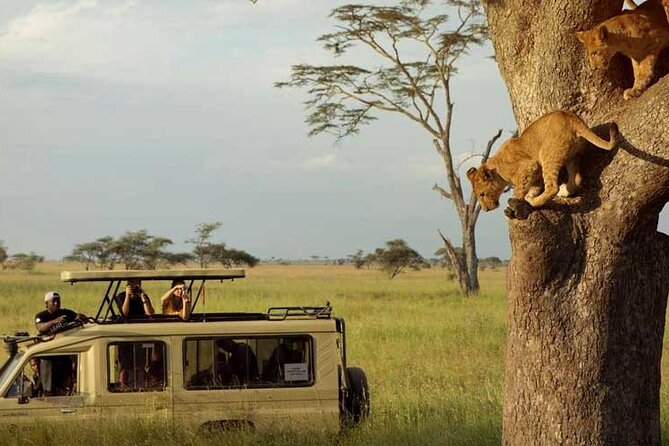 8 Days Exploring Tanzania Northern Circuit National Parks - Booking Information
