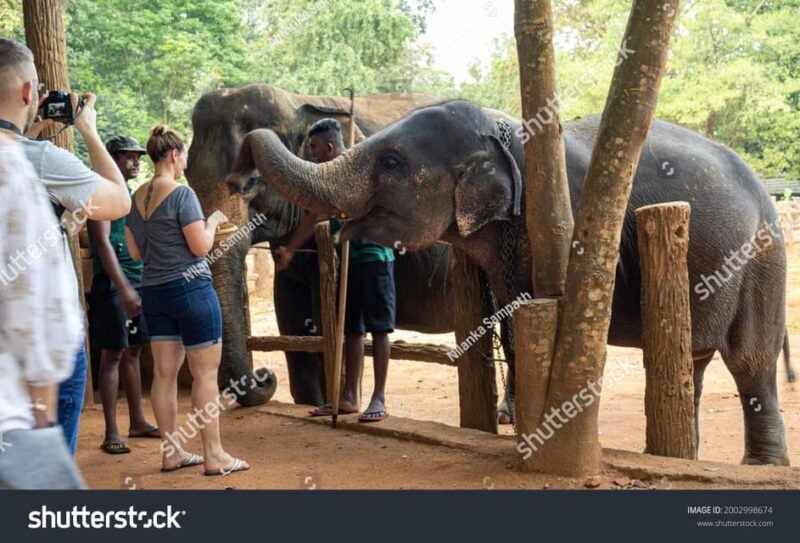 8 Days Round Tour Across Beautiful Nature of Sri Lanka - Experiences During the Tour