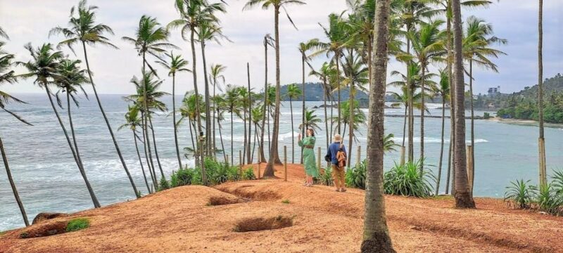 8 Days - Sri Lanka Sightseeing Tour - Inclusions