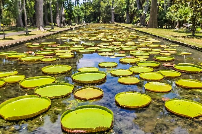 8-Hour Private City and North Tour in Mauritius - Requirements and Restrictions
