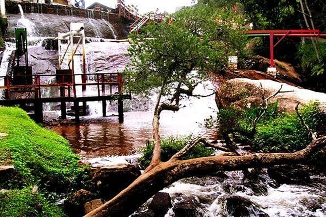 8 Hour Private Tour of Campos Do Jordão - Customize Your Tour