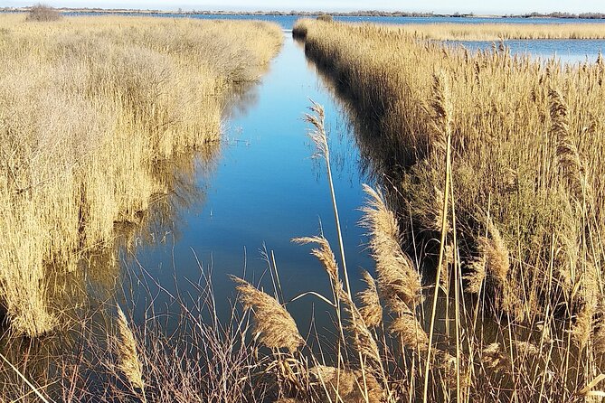 8 Hours Visit to the Camargue Review - Noteworthy Feedback