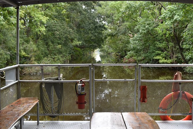 90-Minute Jean Lafitte Swamp and Bayou Tour With Transportation - Wildlife Sightings