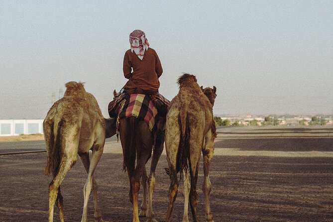 90 Minutes Guided Cultural Camel Riding in Dubai - What to Expect During the Ride