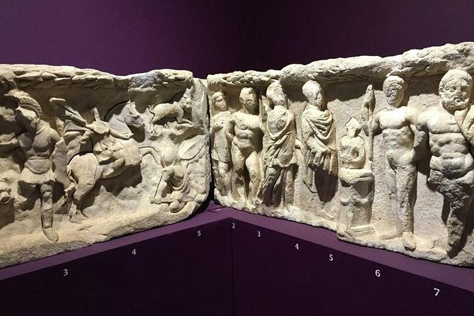 A Day in Ancient Ephesus & Ephesus Museum Tour - Review Checks