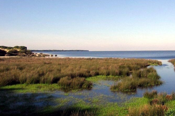 A Day Through the Doñana National Park and the Village of Rocio - Cultural Immersion and Traditions