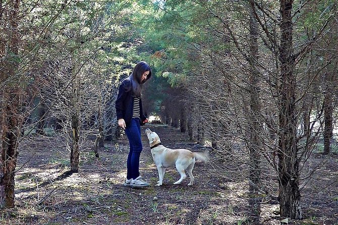 A Journey Through the Forgotten Sierra ... - Serra De Brasfemes, Coimbra - Accessibility and Physical Fitness Recommendations