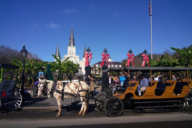 A Locals Private French Quarter Walking or Biking Tour - Whats Included