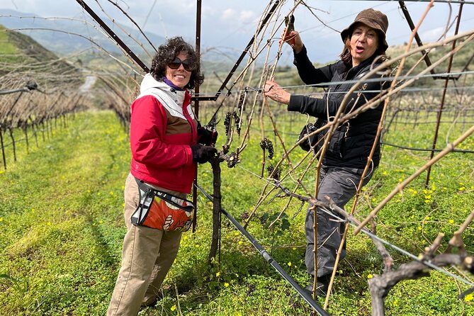 A Sensory Journey of Cretan Wines - Personalized Wine Selection Process
