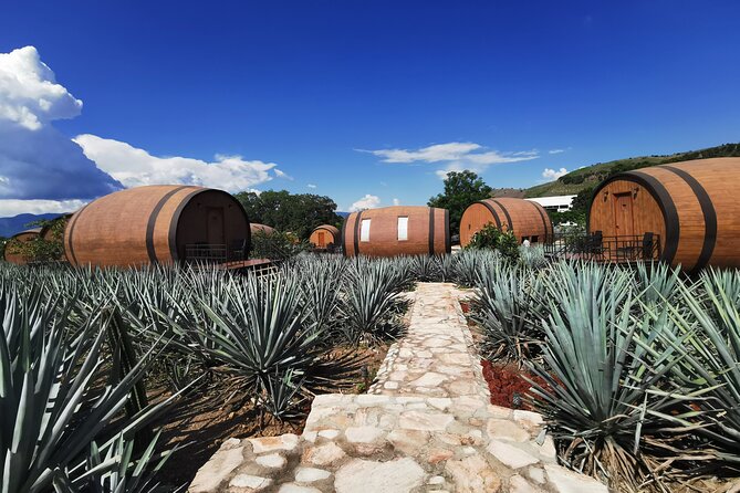 A Unique Tour! Visiting Hacienda Casa Herradura From Guadalajara - Recommendations and Additional Information