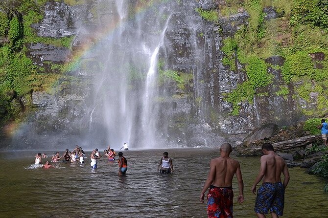 Accra: Wli Waterfalls and Tafi Monkey Sanctuary Private Day Tour - Pickup and Timing Details