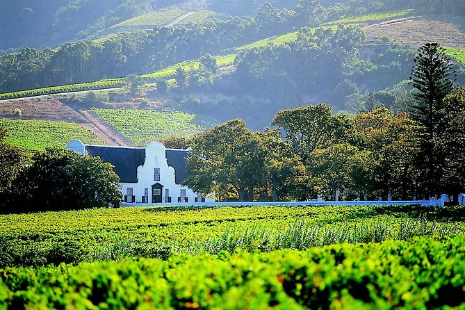 ADDO to CAPE TOWN: Addo - Garden Route - Route 62 - Winelands (6 Days) - Savoring the Culinary Delights