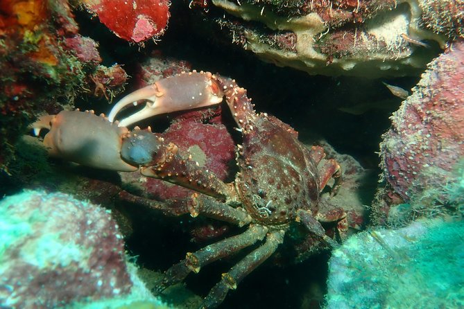 Advanced PADI Diving Course - Cancellation Policy