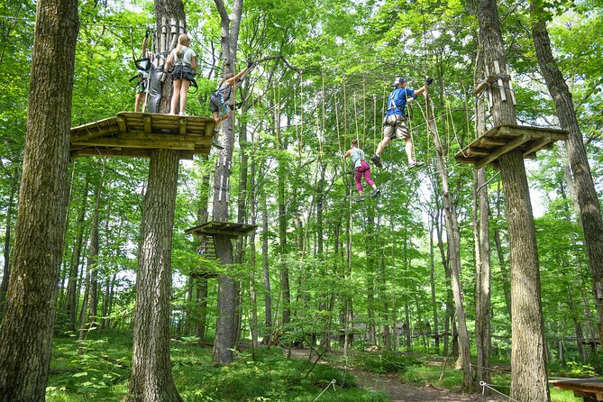 Aerial Adventure Park Admission - Reviews and Ratings