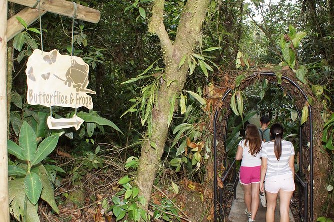 Aerial Tram in Braulio Carrillo National Park From San José - Booking and Cancellation