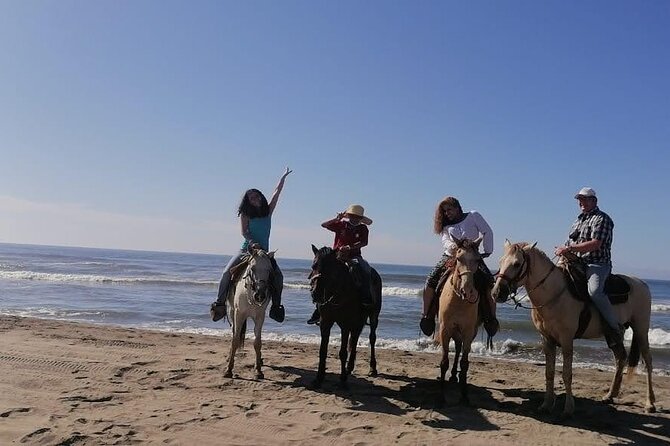 AfroMex Village Beach Horseback Baby Turtle Release & Crocs Farm - Crocodile Encounter