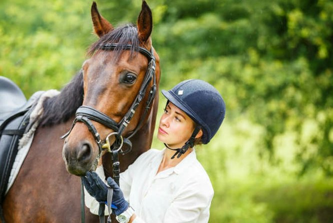 Agadir 2-Hour Private Horse Riding Experience With Pickup - Accessibility Options
