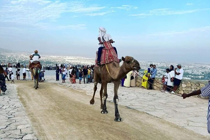 Agadir City Tour With Big Souk Elhad - Discovering Agadirs Architectural Marvels