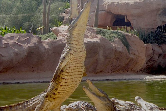 Agadir Crocoparc With Transfer & Admission Ticket - Accessibility for All Visitors