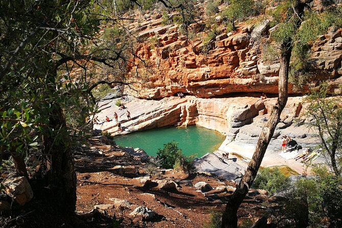 Agadir or Taghazout: Paradise Valley Atlas Mountain Swimming Trip - Accessibility and Traveler Considerations