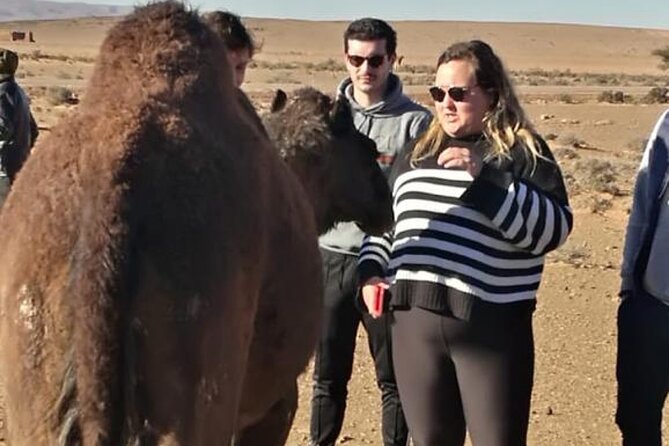 Agadir Quad Biking & Camel Riding With Snacks - Positive Customer Reviews