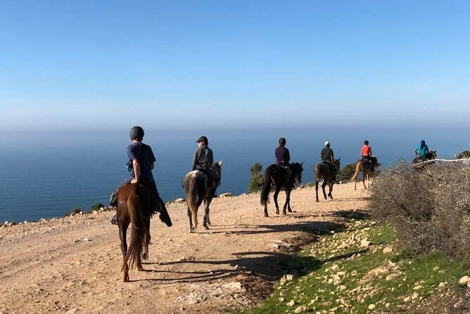 Agadir/Taghazout Horse Ride on the Beach - Personalized Instruction and Guidance