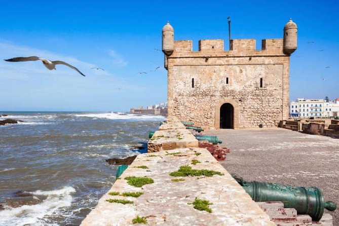 Agadir to Essaouira Private Day Trip - Appreciating Essaouiras Panoramic Ocean Vistas