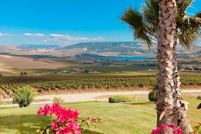 AGRIGENTO and WINERY Private Tour With Guide Driver - Schedule and Pricing