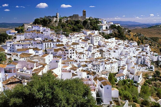 Airport Transfer: Malaga Airport AGP to Malaga by Luxury Van - Private Tour Experience