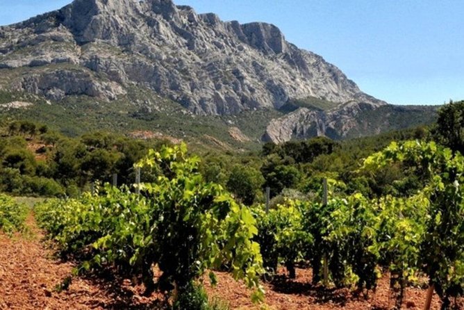Aix En Provence and Wine Tasting Private Full Day Tour - Accessibility Features