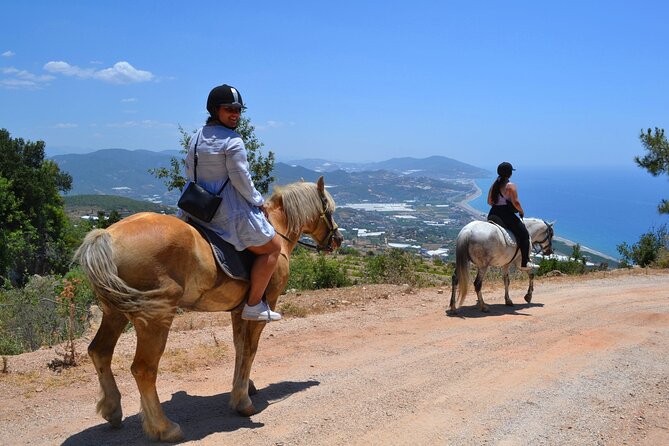 Alanya Horseback Riding in the Taurus Mountains With Transfer - Customer Reviews