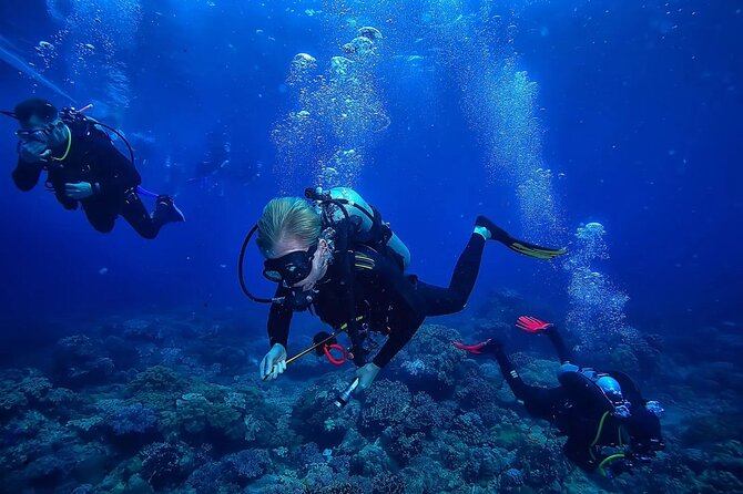 Alanya Scuba Diving Tour - Cancellation Policy