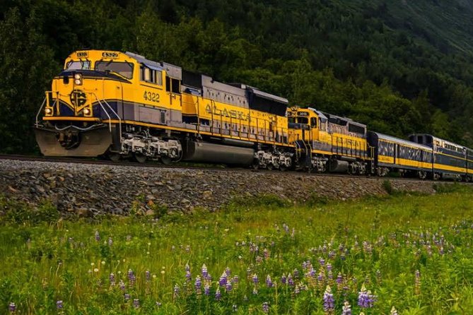 Alaska Railroad Denali to Anchorage One Way - Accessibility and Special Requirements
