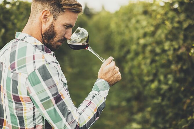 Albariño Wine Tasting With Winery Tour - Transportation and Accessibility