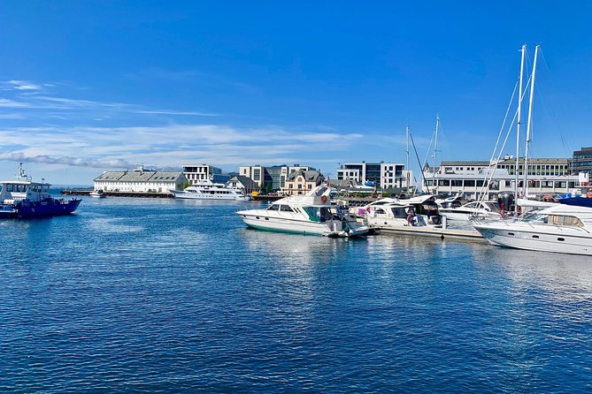 Alesund Sightseeing Private Tour for Cruise Passengers - Reviews and Ratings