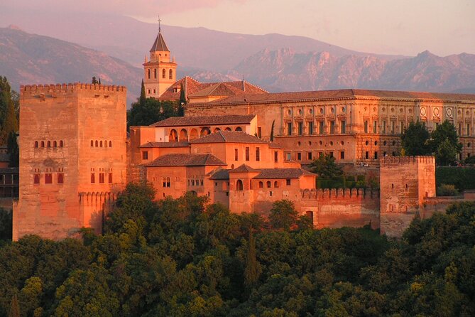 Alhambra and Albaicin Private Day Trip From Malaga - Personalized Private Tour Experience