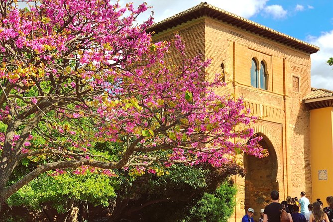Alhambra Semi-Private Tour With Skip-The-Line-Tickets - Highlights From Guest Reviews