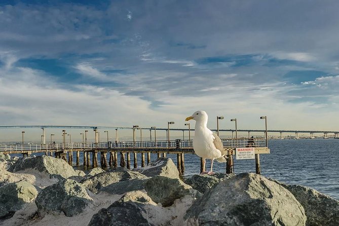 All Day San Diego Scenic Tour - Customer Reviews