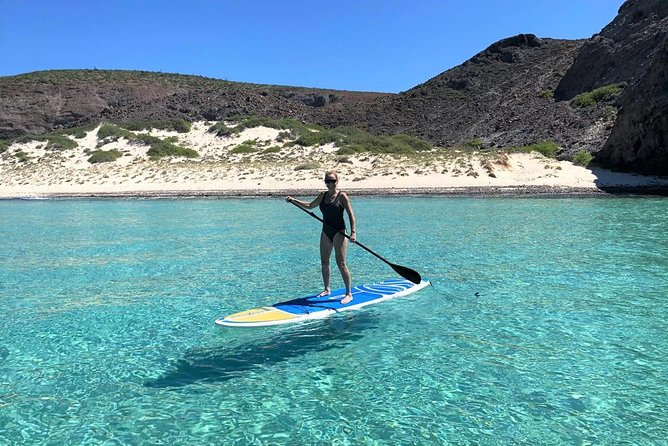 All-Inclusive Catamaran Tour | Beaches & Sea Lions From Los Cabos - Participant Suitability