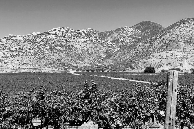 All-Inclusive Overnight Wine Tour. Round Trip From San Diego. - Itinerary Highlights