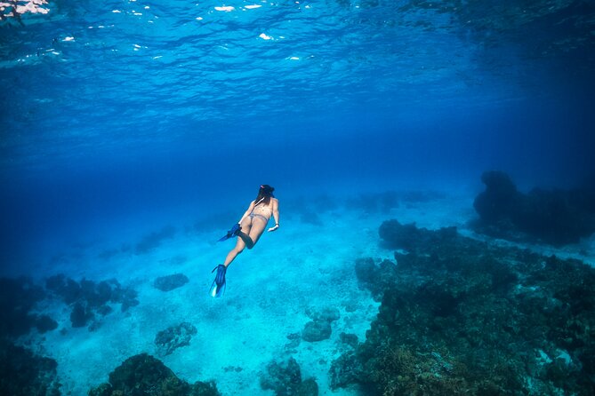 All Inclusive Tulum: Private Luxury Catamarán 51 Leopard 4hrs - Morning or Afternoon Departure