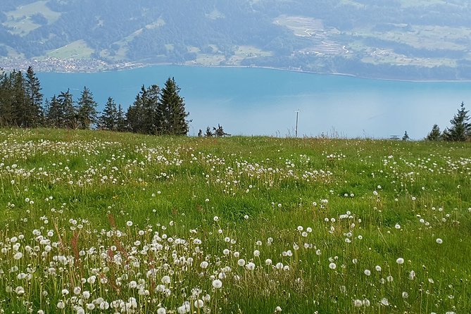 Alpine Panoramic Private Trip From Zurich - Frequently Asked Questions