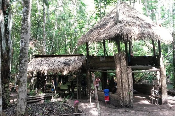 Alter Do Chão Amorim Tour - Swimming and Local Fruits