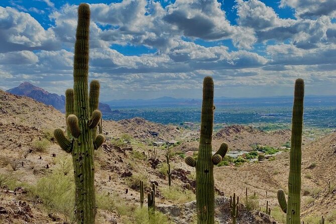Amazing 2-Hour Guided Hiking Adventure in Phoenix, Arizona - Knowledgeable Local Guides