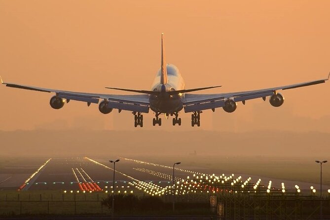 Amman Airport Private Round-Trip Transfer to Amman - Reviews