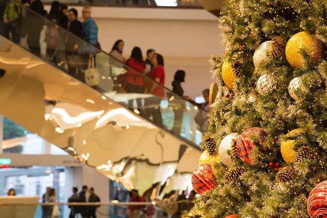 Amsterdam Christmas Tour With a Local Guide: Private & Custom - Tips for Your Tour