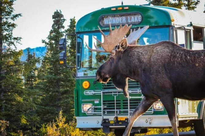 Anchorage: Kenai Fjords & Denali National Park 5 Day 4 Night Tour - Pickup and Meeting Information